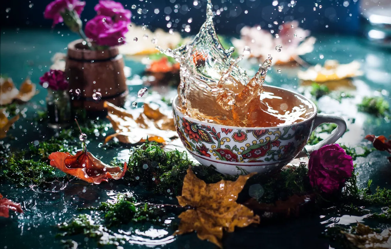 Фото обои осень, листья, вода, цветы, брызги, чай, мох, чашка