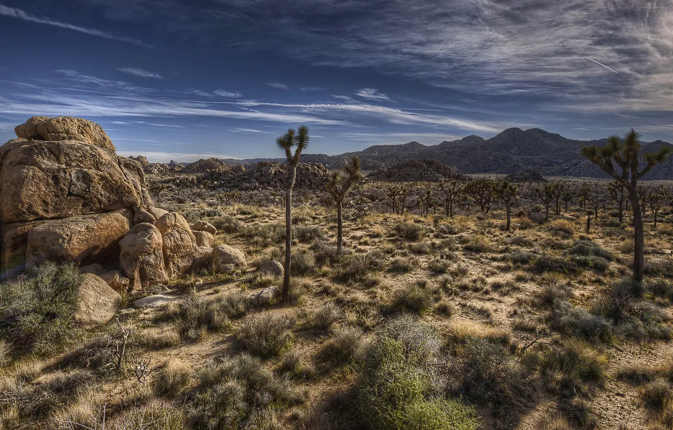 Фото обои небо, облака, деревья, горы, скала, пустыня, hdr, california