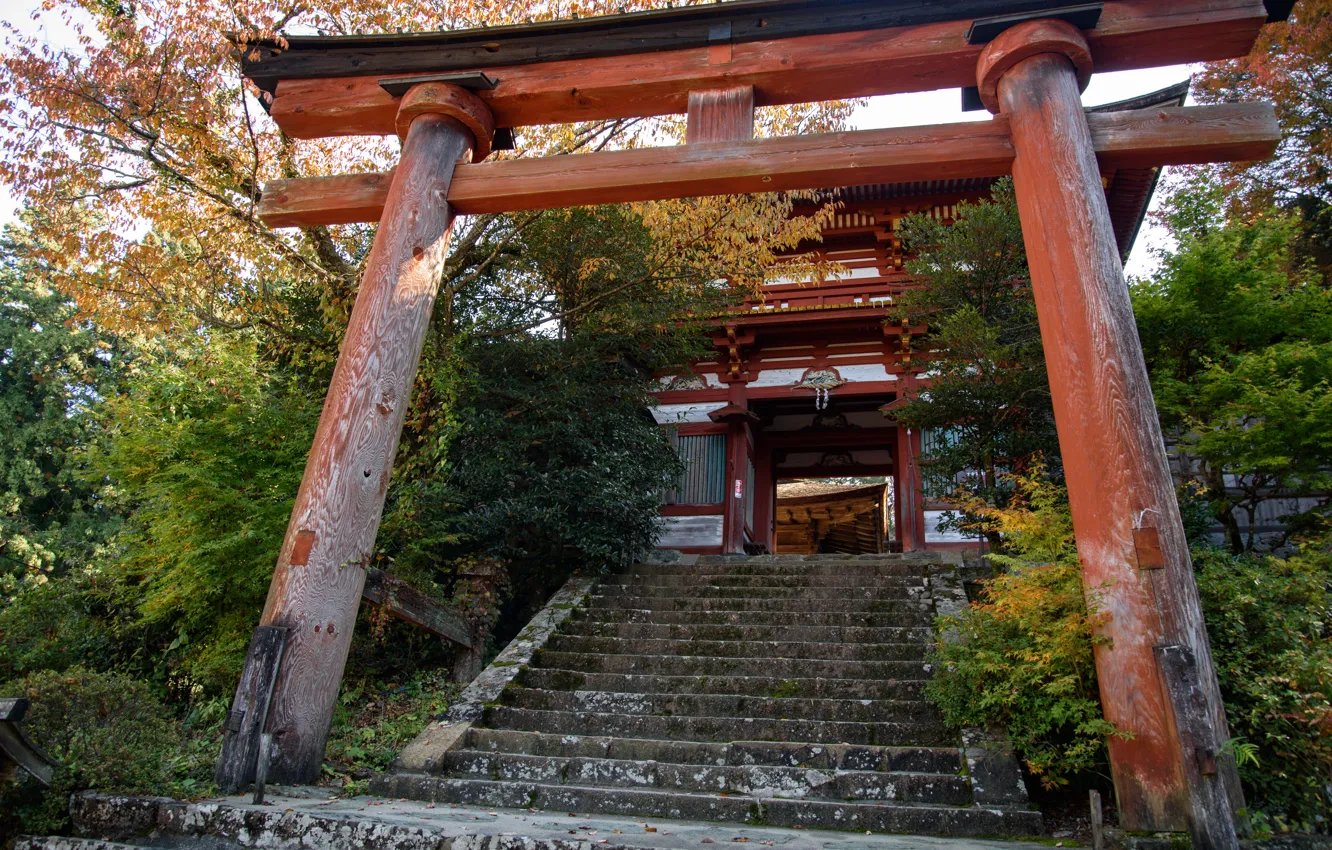 Фото обои Природа, Япония, Лестница, Ворота, Храм, Тории