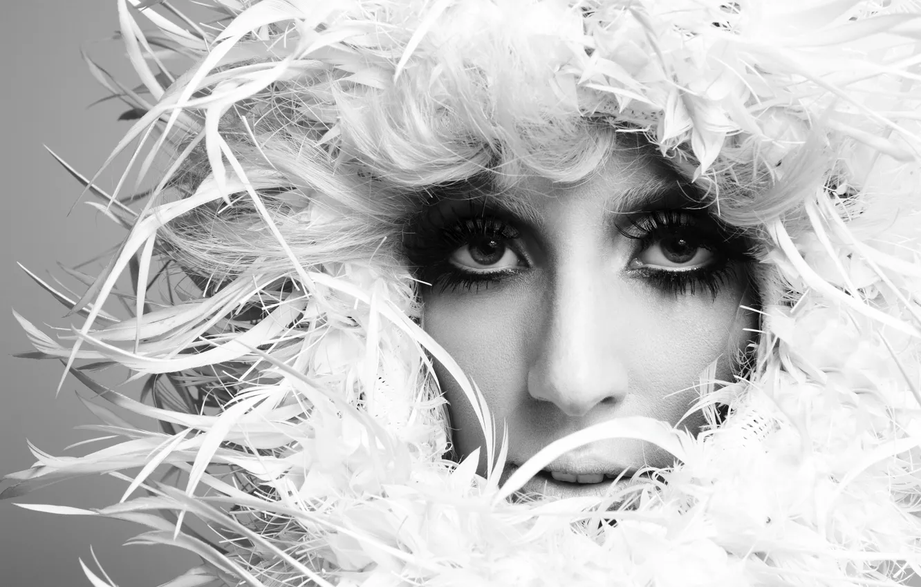 Фото обои глаза, девушка, макияж, певица, lady gaga, леди гага
