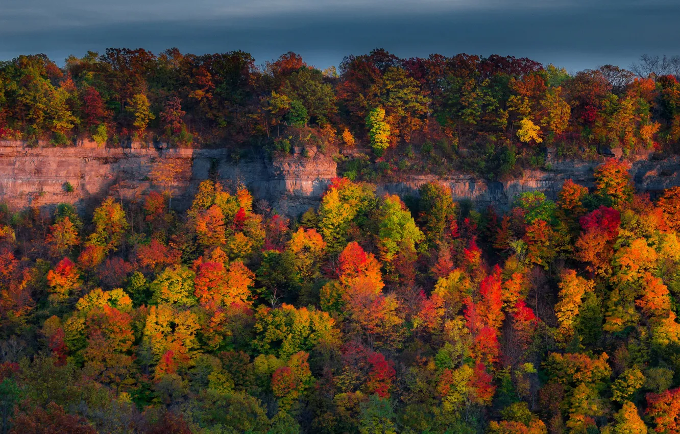 Фото обои осень, лес, деревья, скалы, Канада, Онтарио