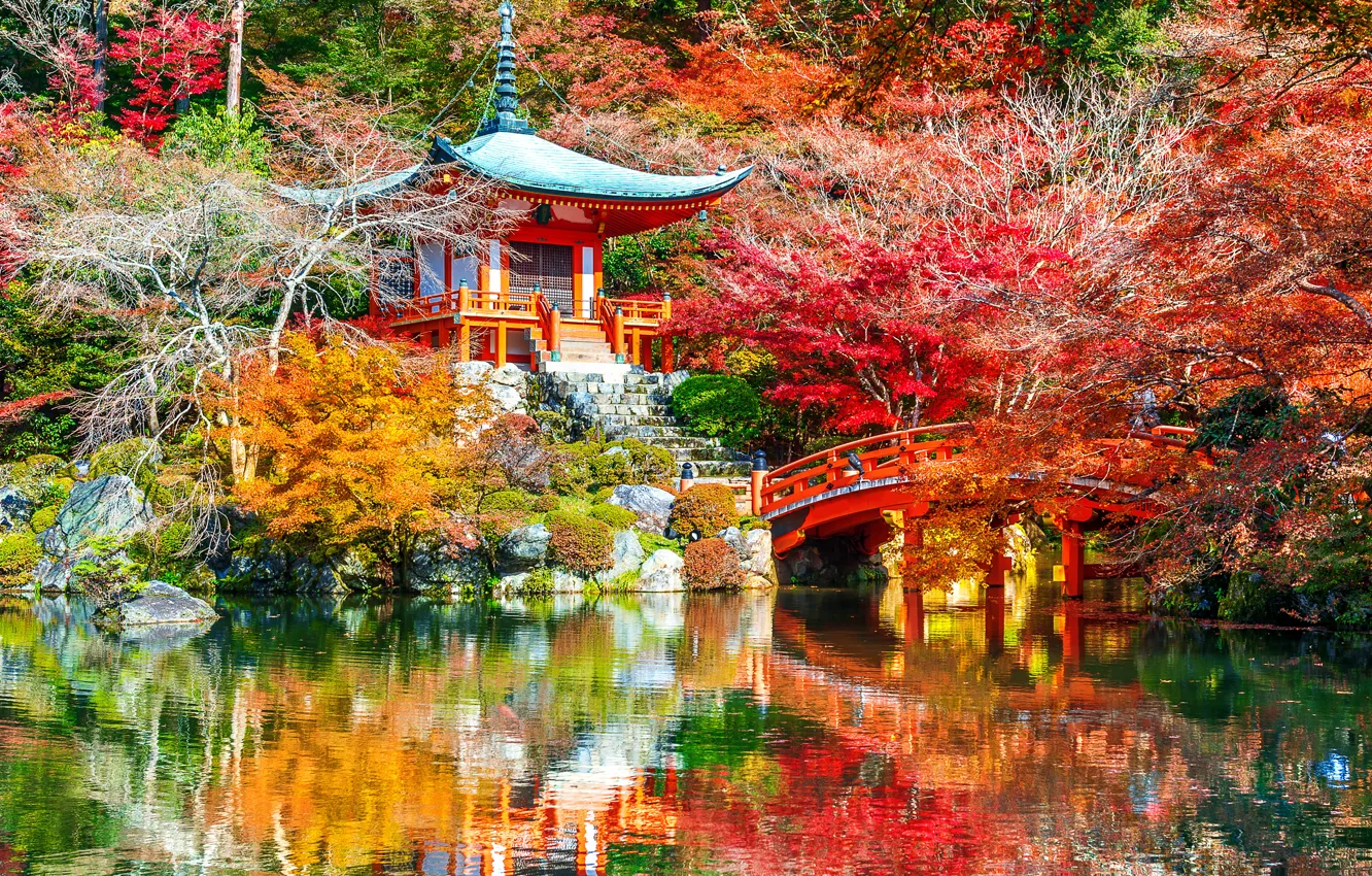 Фото обои осень, листья, деревья, парк, Japan, Kyoto, nature, bridge