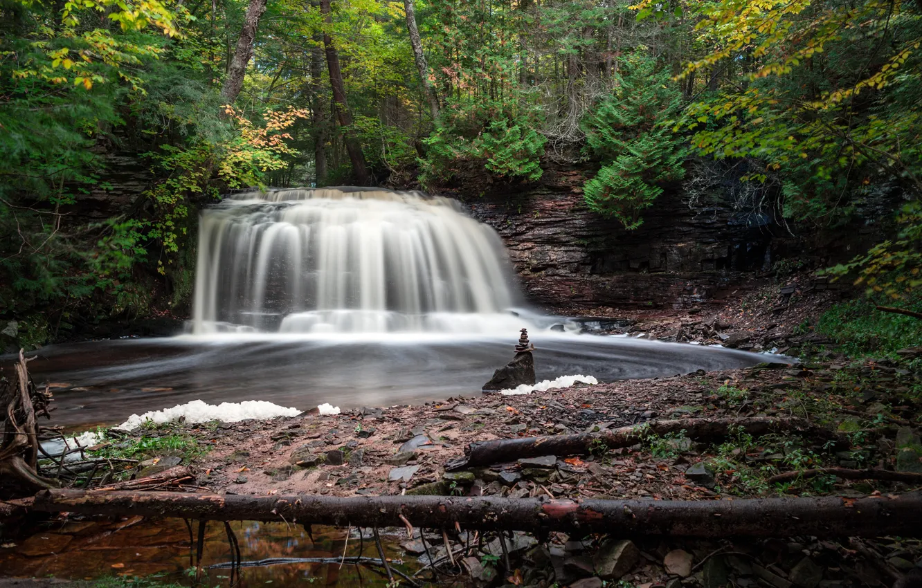 Фото обои лес, река, водопад, Michigan, Rock River Falls