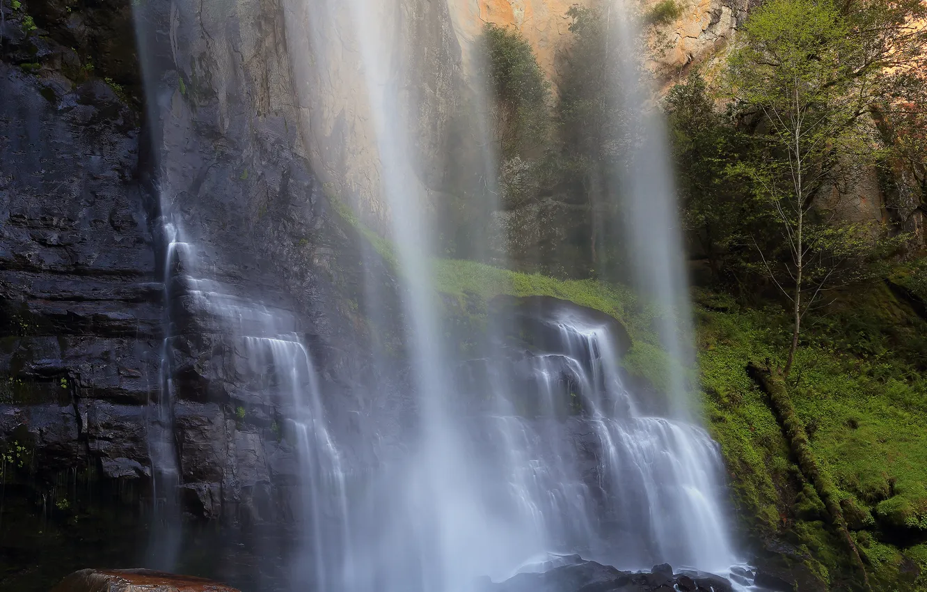 Фото обои USA, США, Штат Орегон, Silver Falls State Park, State Oregon, Marion County, Округ Мэрион