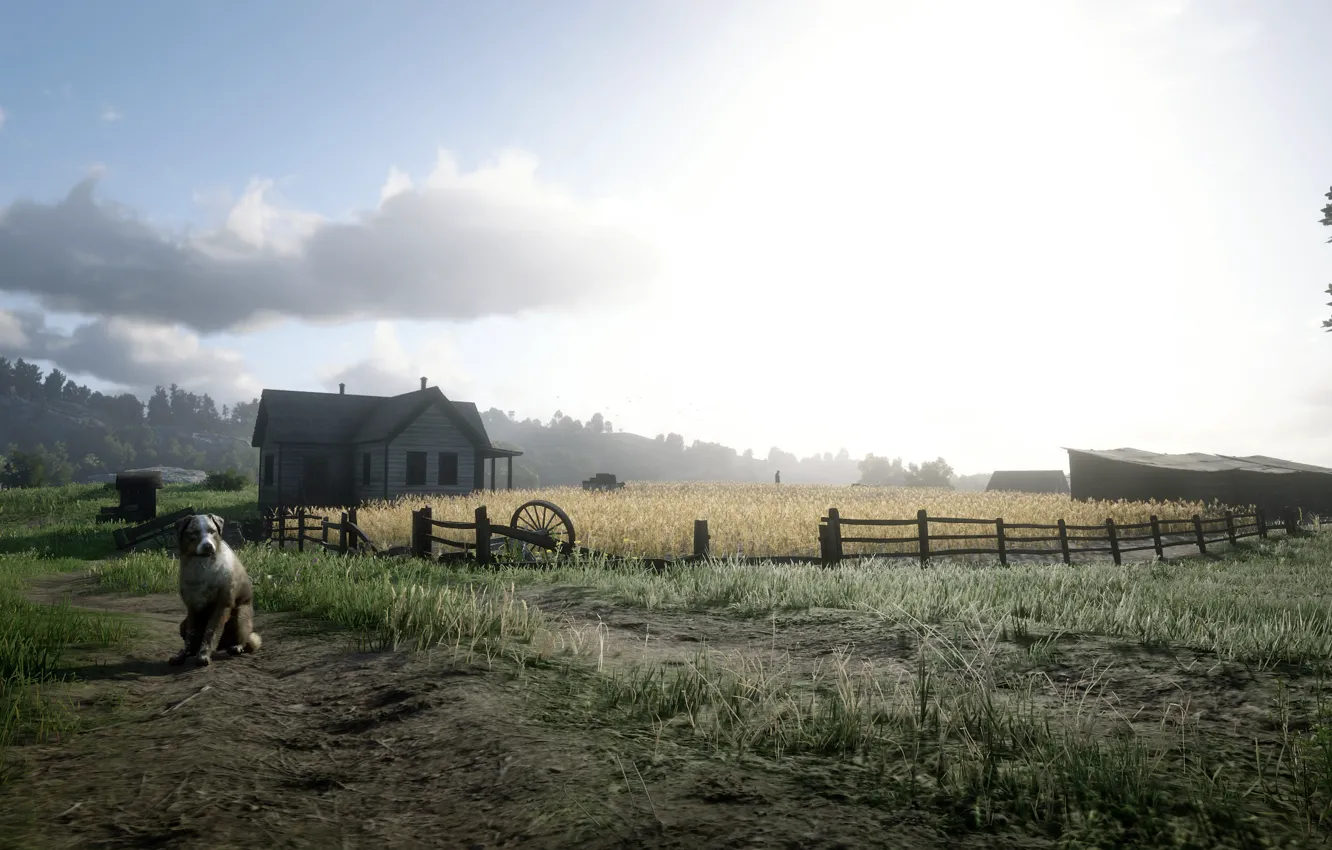 Фото обои Dog, Scarecrow, Arthur, Cowboy, Red Dead Redemption 2