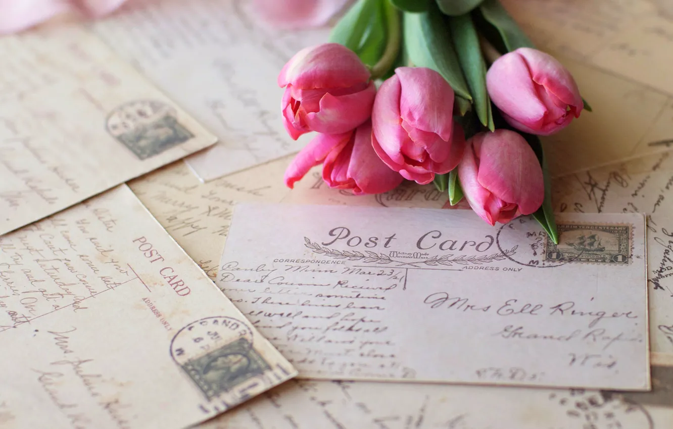 Фото обои цветы, тюльпаны, розовые, винтаж, письма, открытки, марки