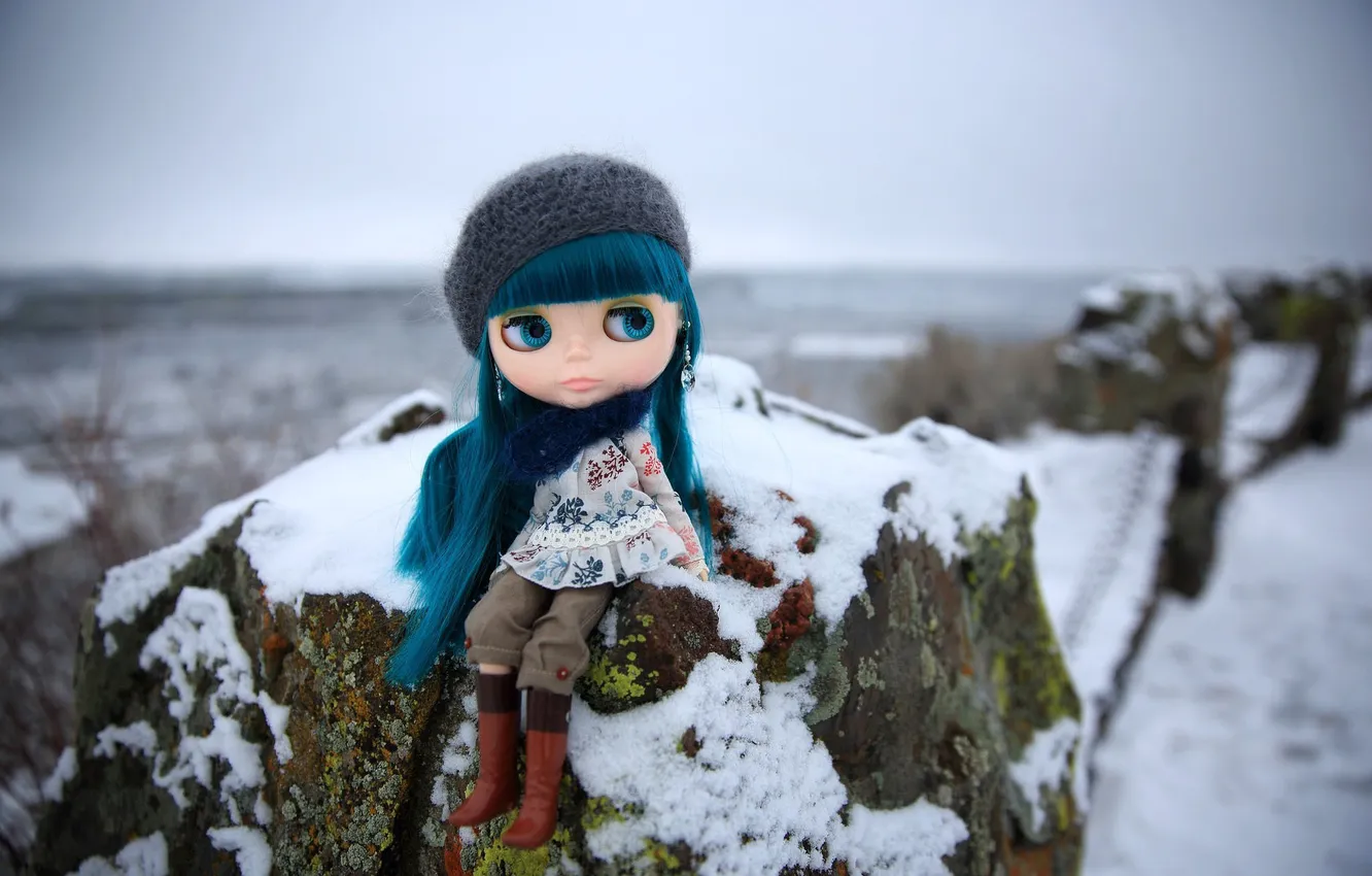 Фото обои зима, шапка, камень, игрушка, кукла, сидит, синие волосы