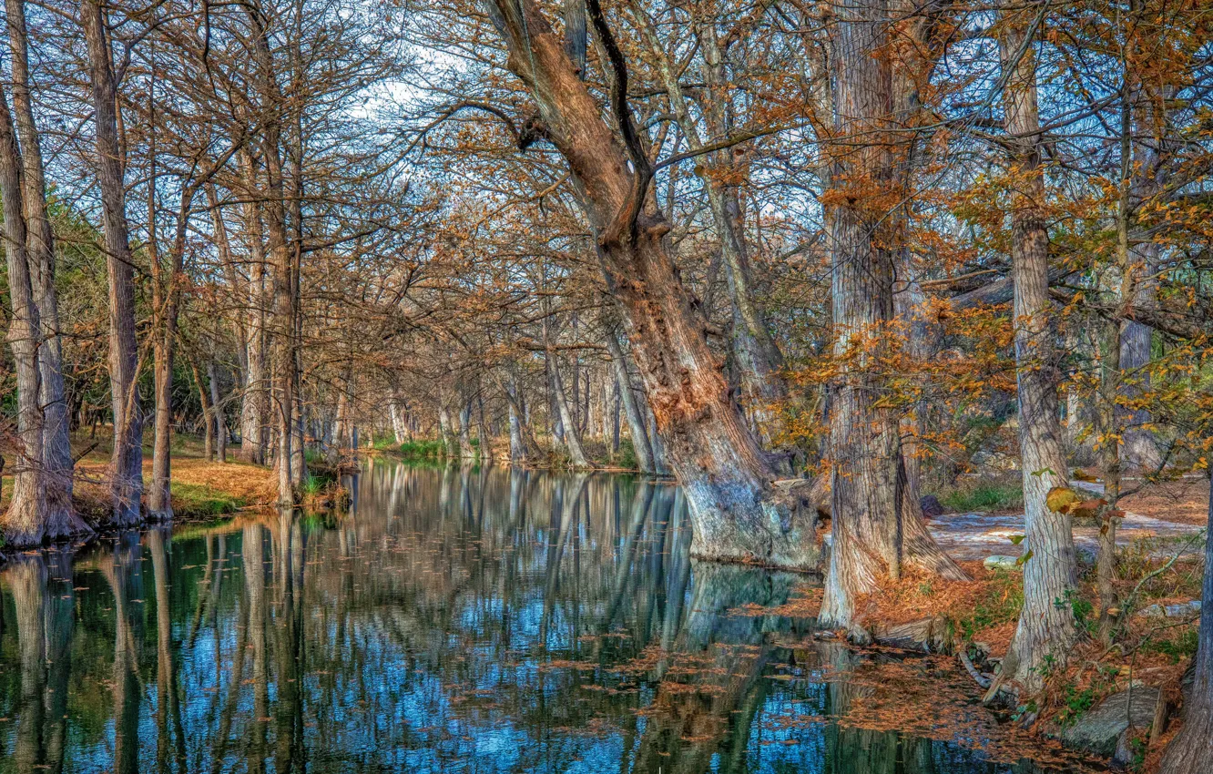 Фото обои Texas, Wimberley, Cypress Creek