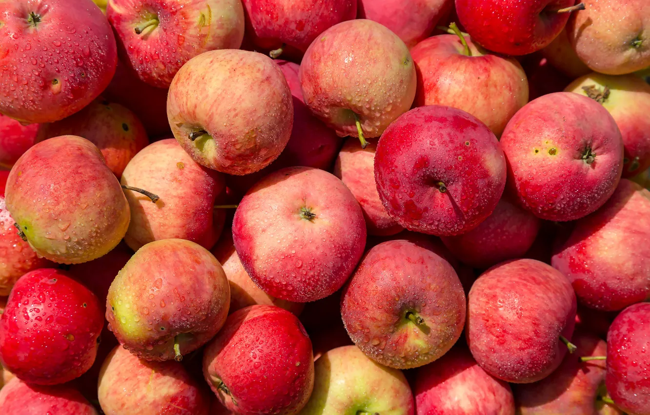 Фото обои капли, яблоки, урожай, красные, фрукты, много, свежие