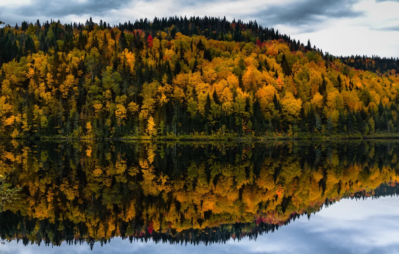 Фото обои осень, лес, облака, деревья, озеро, отражение, берег, желтые