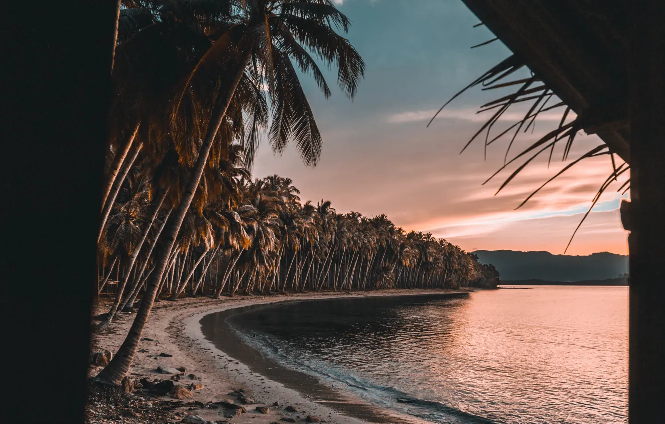 Фото обои песок, море, пляж, вода, деревья, пальмы, берег, вечер
