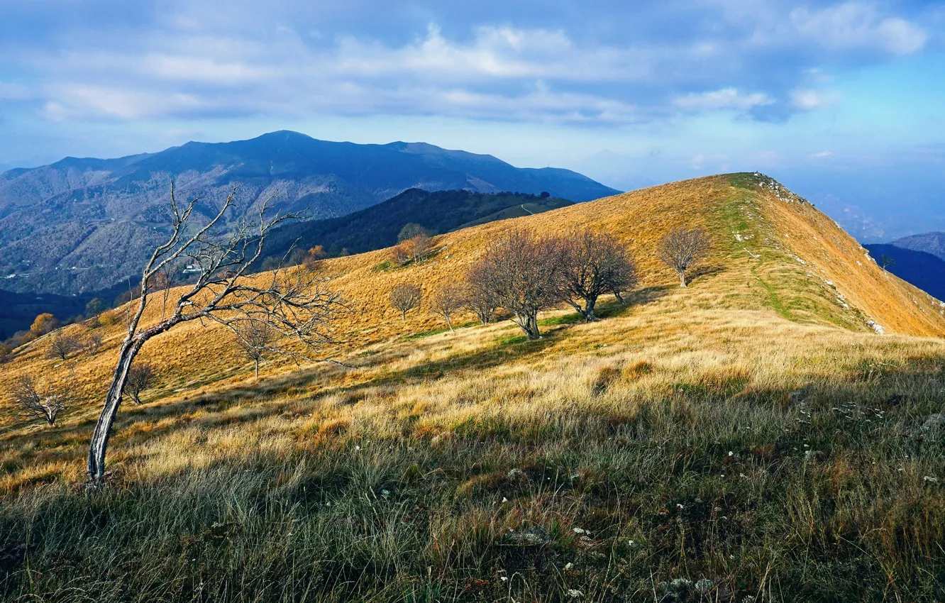 Фото обои Горы, Осень, Склон
