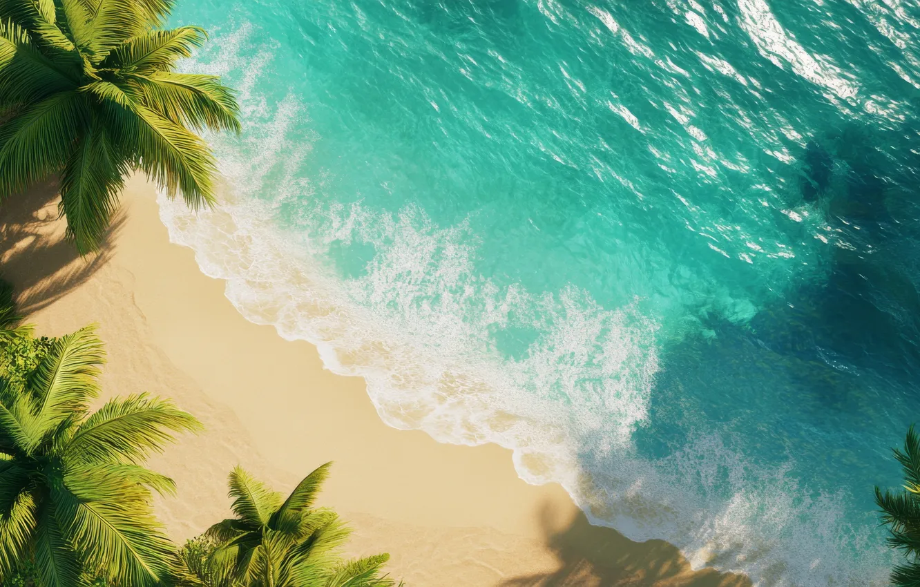 Фото обои пляж, пальмы, океан, beach, ocean, sand, palm trees, turquoise water