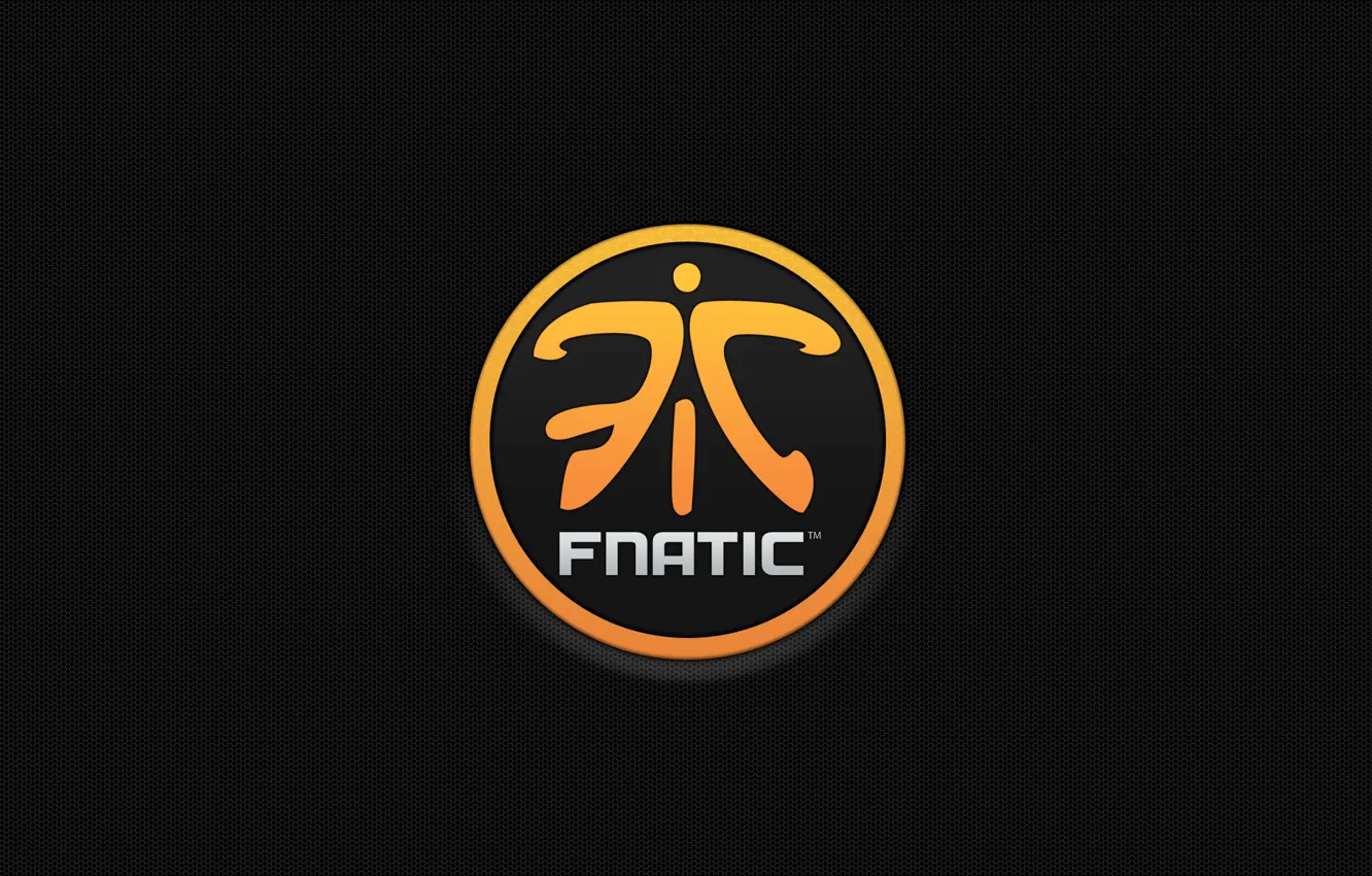 Фото обои logo, honeycomb, csgo, dota 2, fnatic, cs go, openings, fic