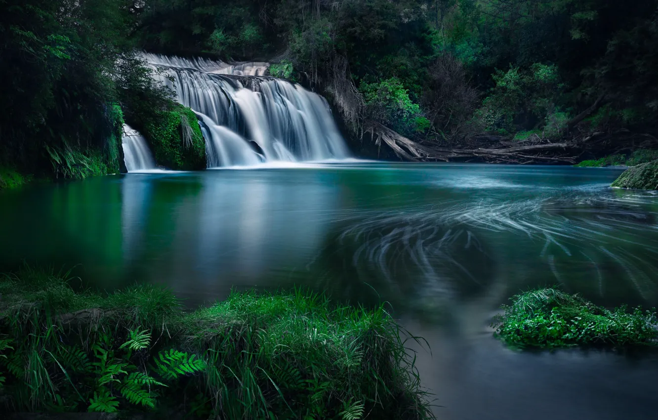 Фото обои лес, река, водопад, Новая Зеландия, каскад, New Zealand, Hawke's Bay, Река Маратотара