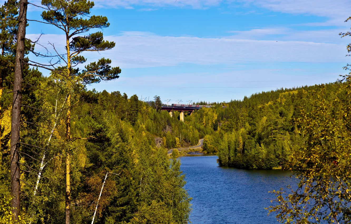 Фото обои дорога, лес, мост, река, поезд, железная дорога, Россия, Иркутск