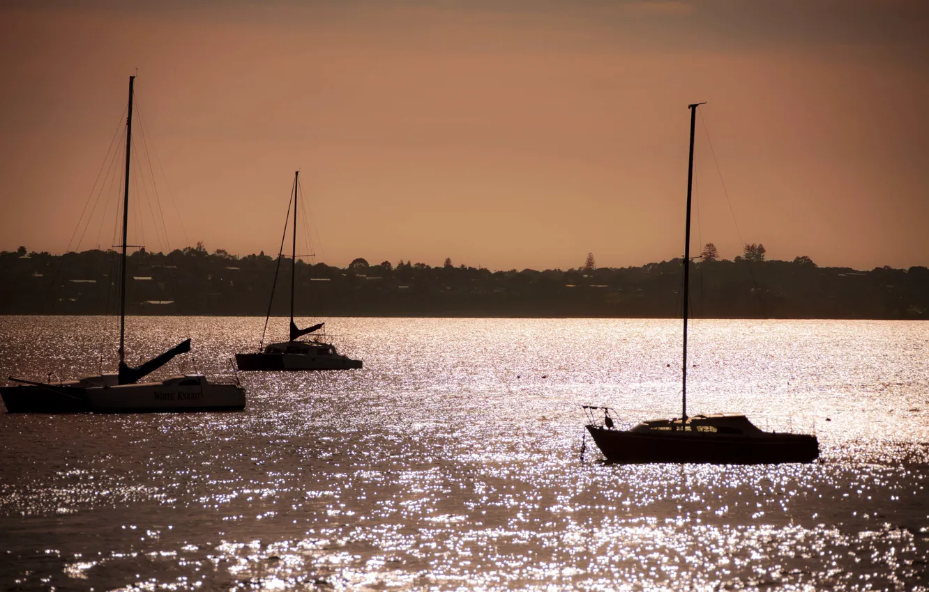 Фото обои море, берег, яхты, вечер, sailboats, Aukland