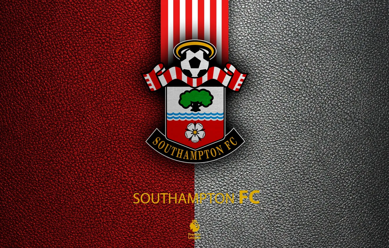Фото обои wallpaper, sport, logo, football, English Premier League, Southampton