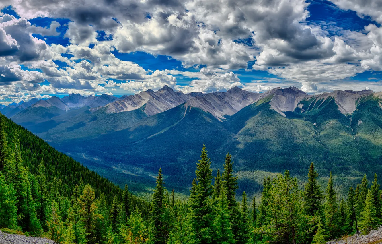 Фото обои лес, облака, деревья, горы, HDR, долина, Канада, Альберта