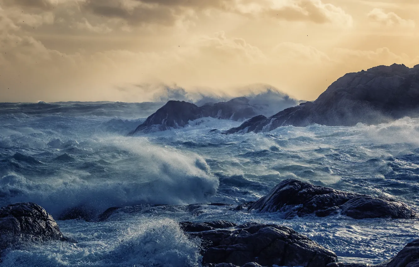 Фото обои море, волны, шторм, берег