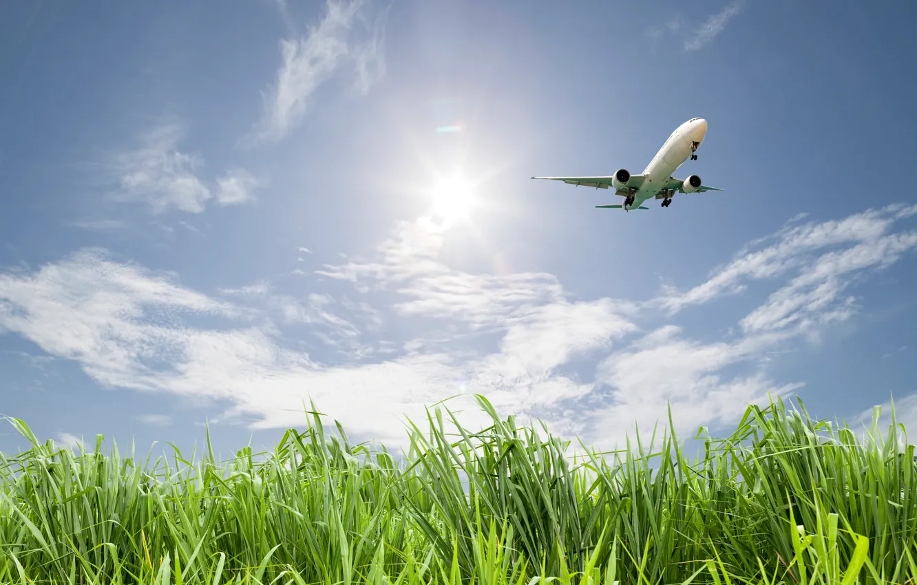 Фото обои зелень, поле, небо, трава, солнце, облака, полет, самолет