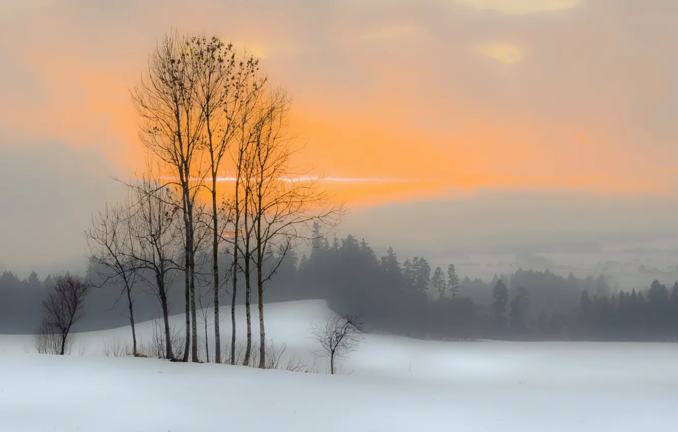Фото обои зима, закат, туман