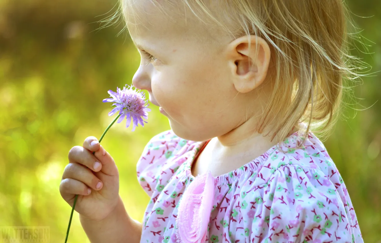 Фото обои цветок, лето, настроение, ребенок, девочка