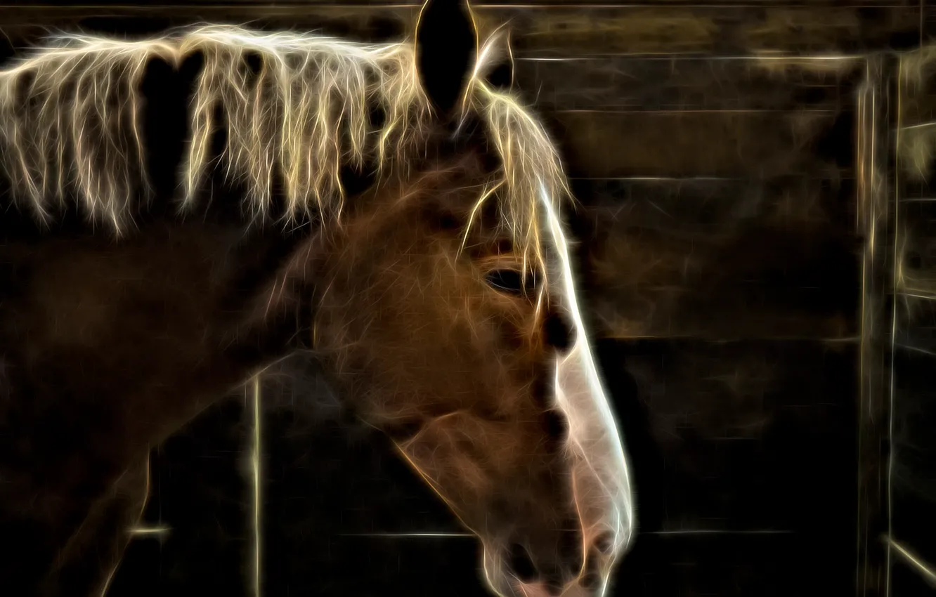 Фото обои морда, конь, лошадь, Electric Horse