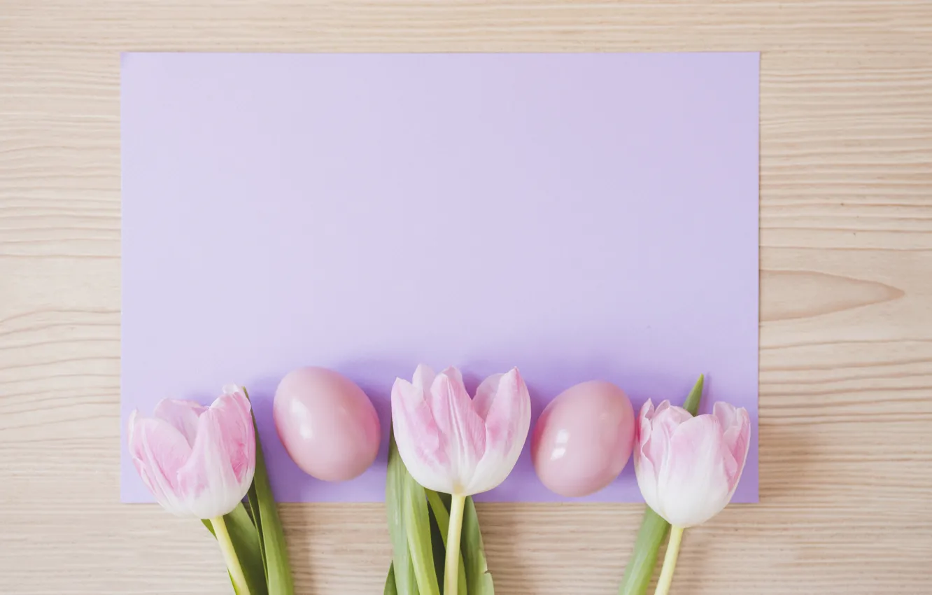 Фото обои бумага, яйца, пасха, тюльпаны, Праздник