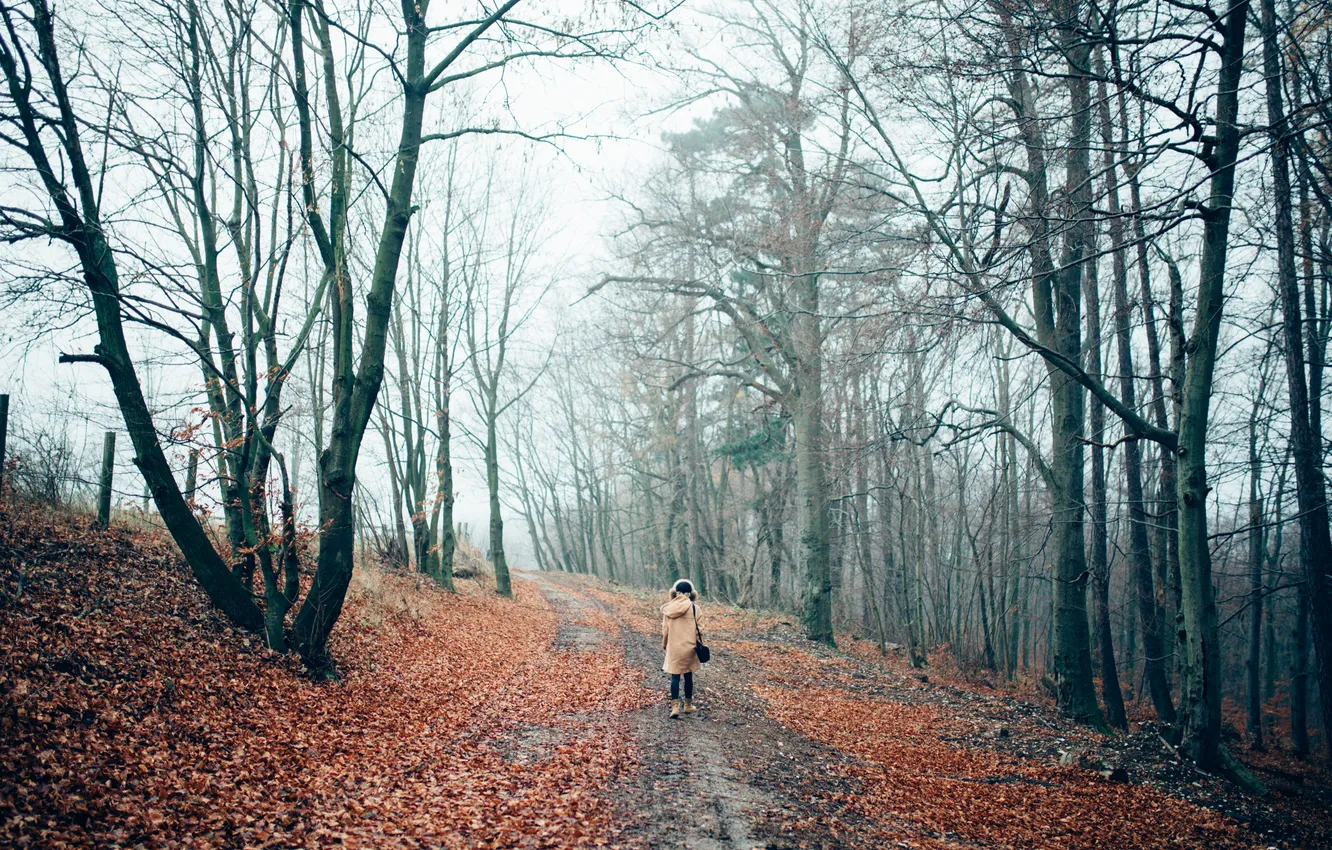 Фото обои осень, лес, девушка, деревья, шапка, человек, куртка