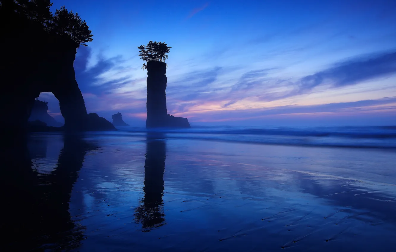 Фото обои море, деревья, ночь, камни, скалы, берег, силуэты