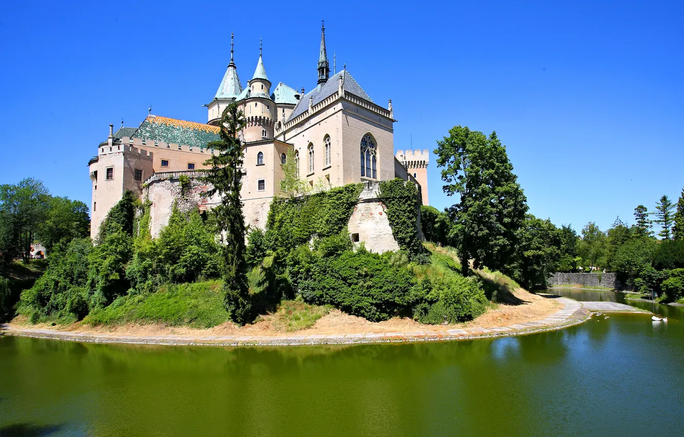 Фото обои зелень, деревья, пруд, замок, кусты, ров, Словакия, Castle Bojnice