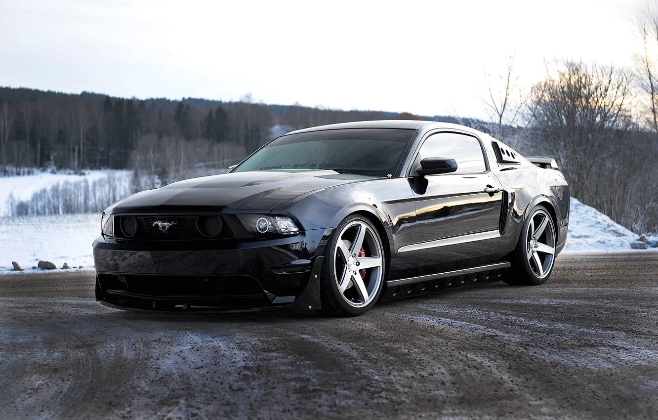 Фото обои дорога, небо, деревья, чёрный, mustang, мустанг, ford, black