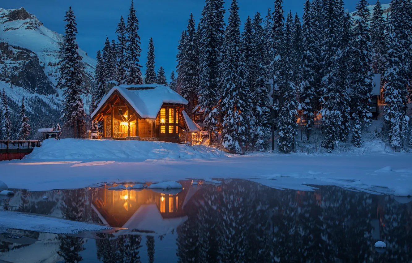 Фото обои зима, лес, снег, деревья, горы, огни, озеро, вечер