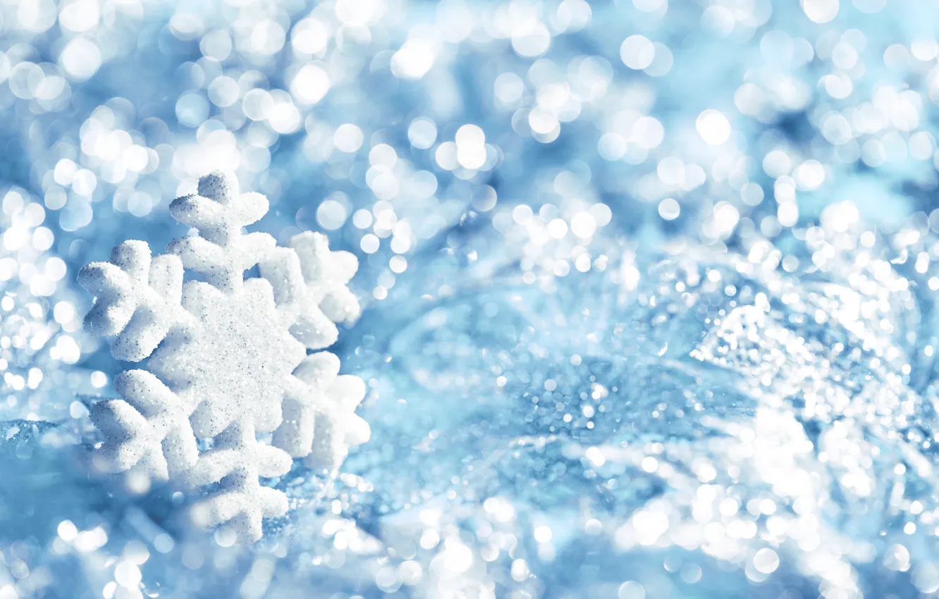 Фото обои blue, снежинка, winter, snow, snowflake