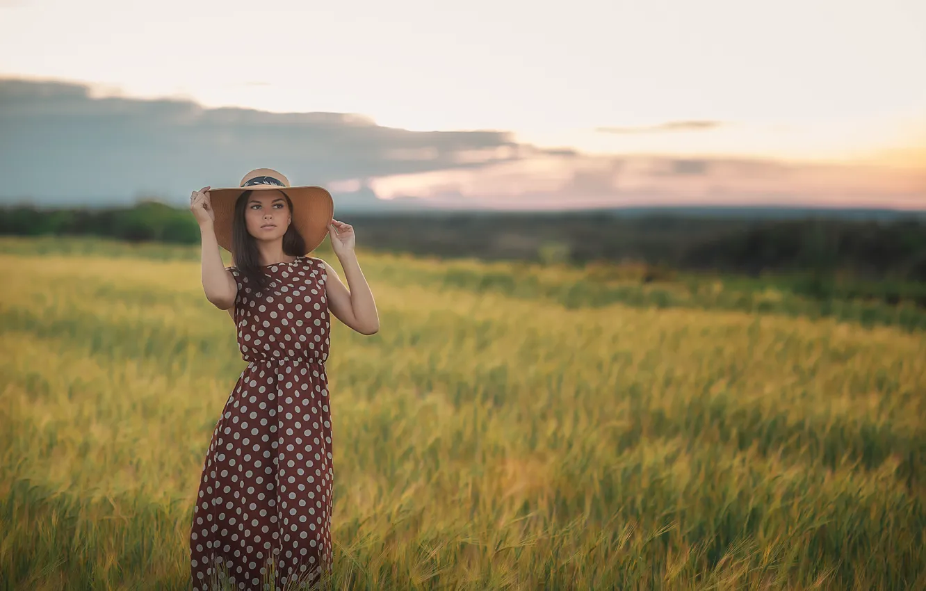 Фото обои поле, девушка, шляпа, платье, Екатерина Зайниева