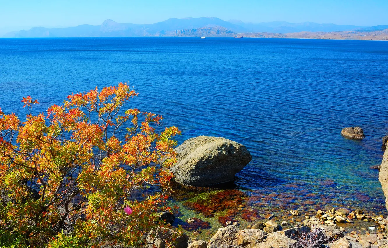 Фото обои вода, горы, ветки, камни, берег, побережье, кусты, Крым