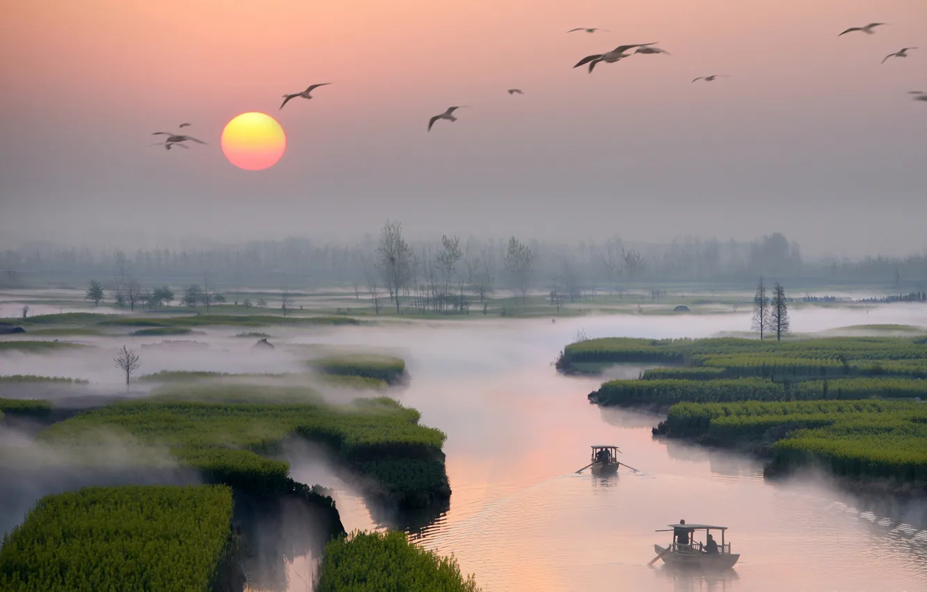 Фото обои река, Китай, мгла, разлив, сад тысячи островов