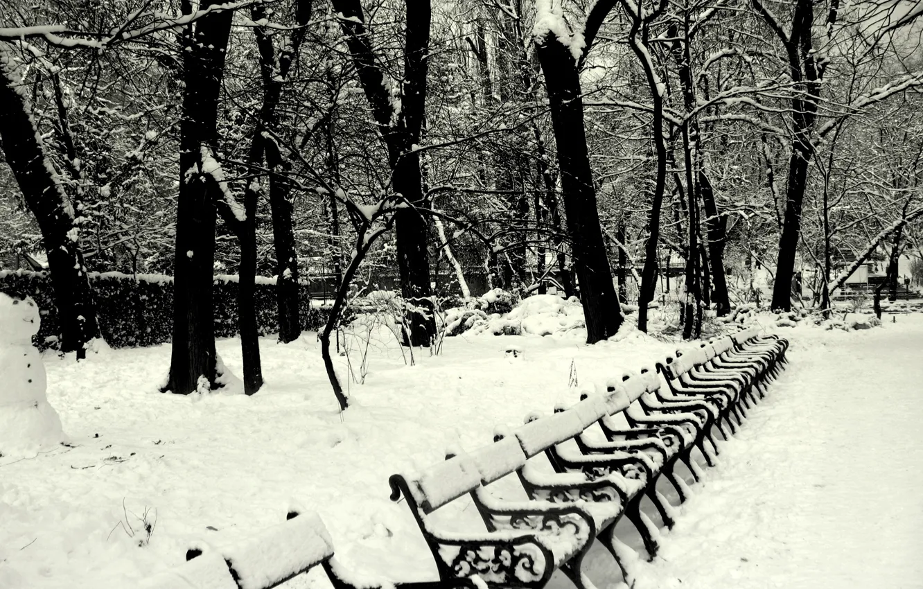 Фото обои Зима, Снег, Парк, Winter, Frost, Park, Snow, Скамейки