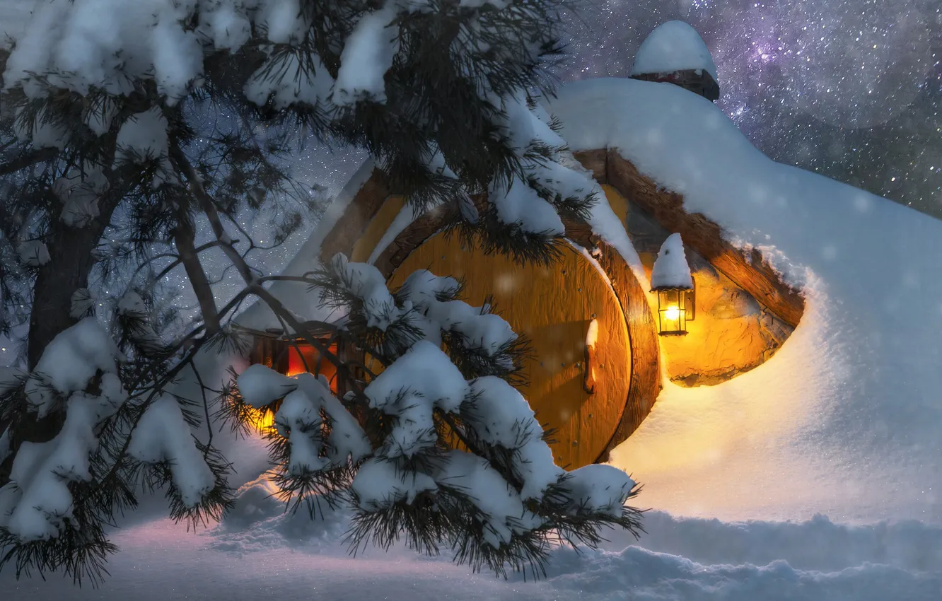 Фото обои зима, небо, свет, снег, ночь, ветки, природа, дерево