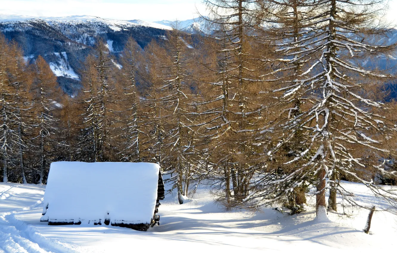 Фото обои зима, пейзаж, дом