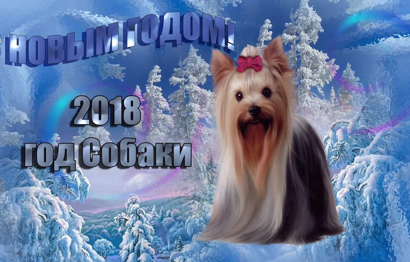 Фото обои зима, настроение, праздник, новый год, 2018, год собаки