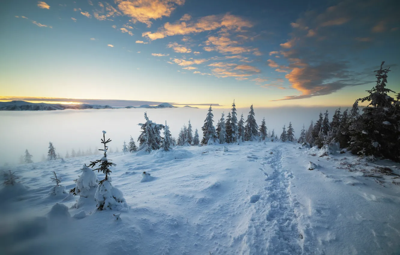 Фото обои зима, небо, снег, горы, елки, Misha Reme