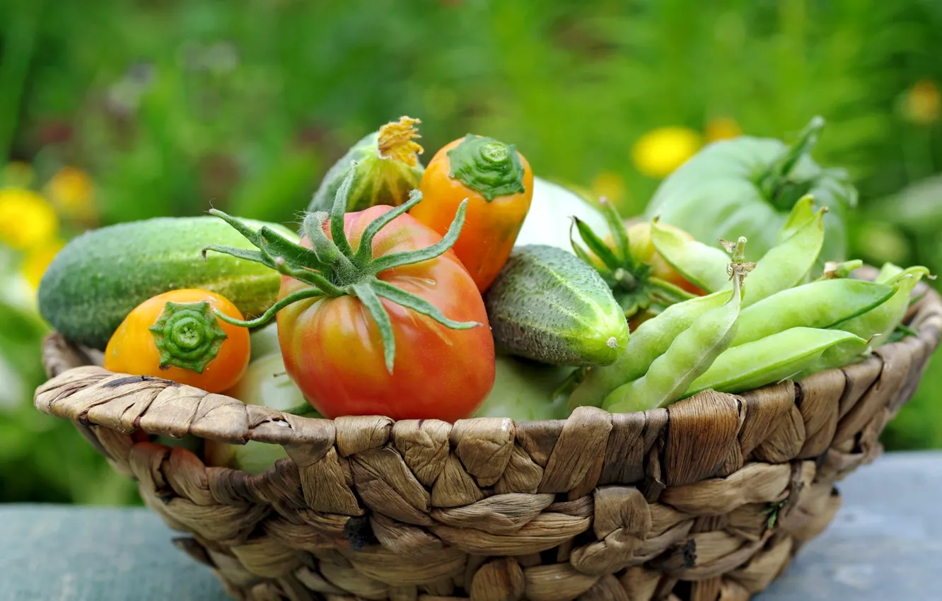 Фото обои огурец, овощи, помидор, фасоль, кабачок