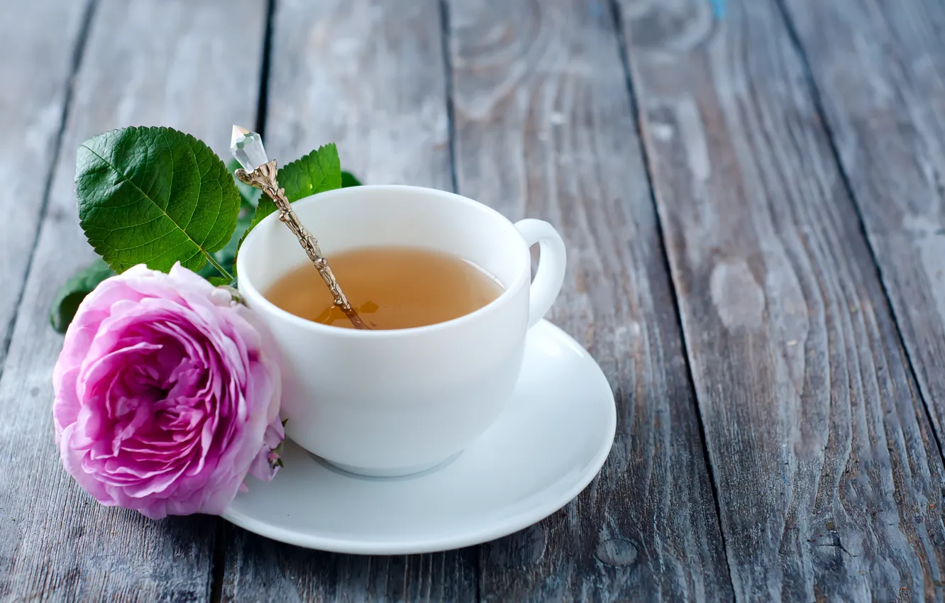 Фото обои роза, rose, flower, pink, cup, tea, чашка чая