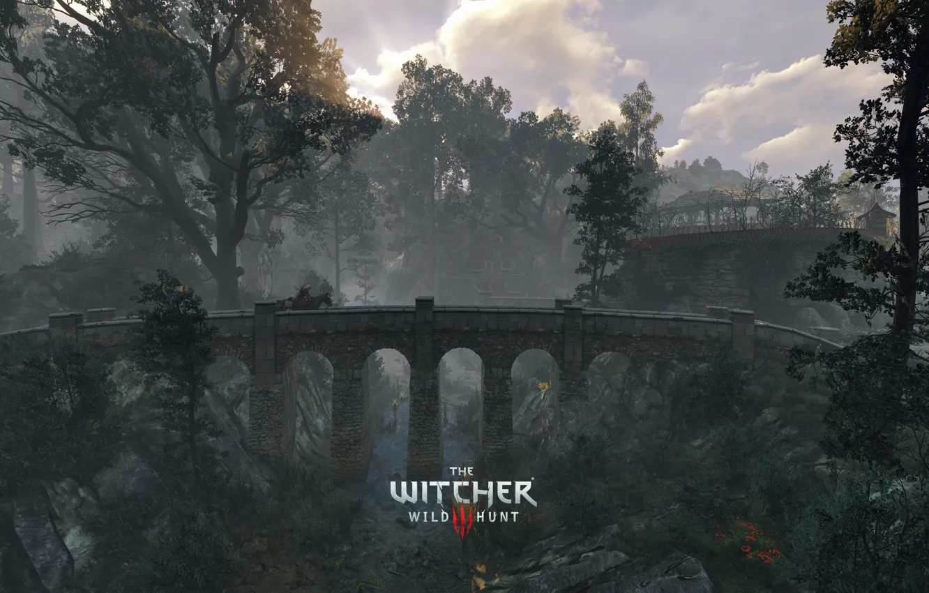 The witcher 3 hearts of stone wallpaper фото 49