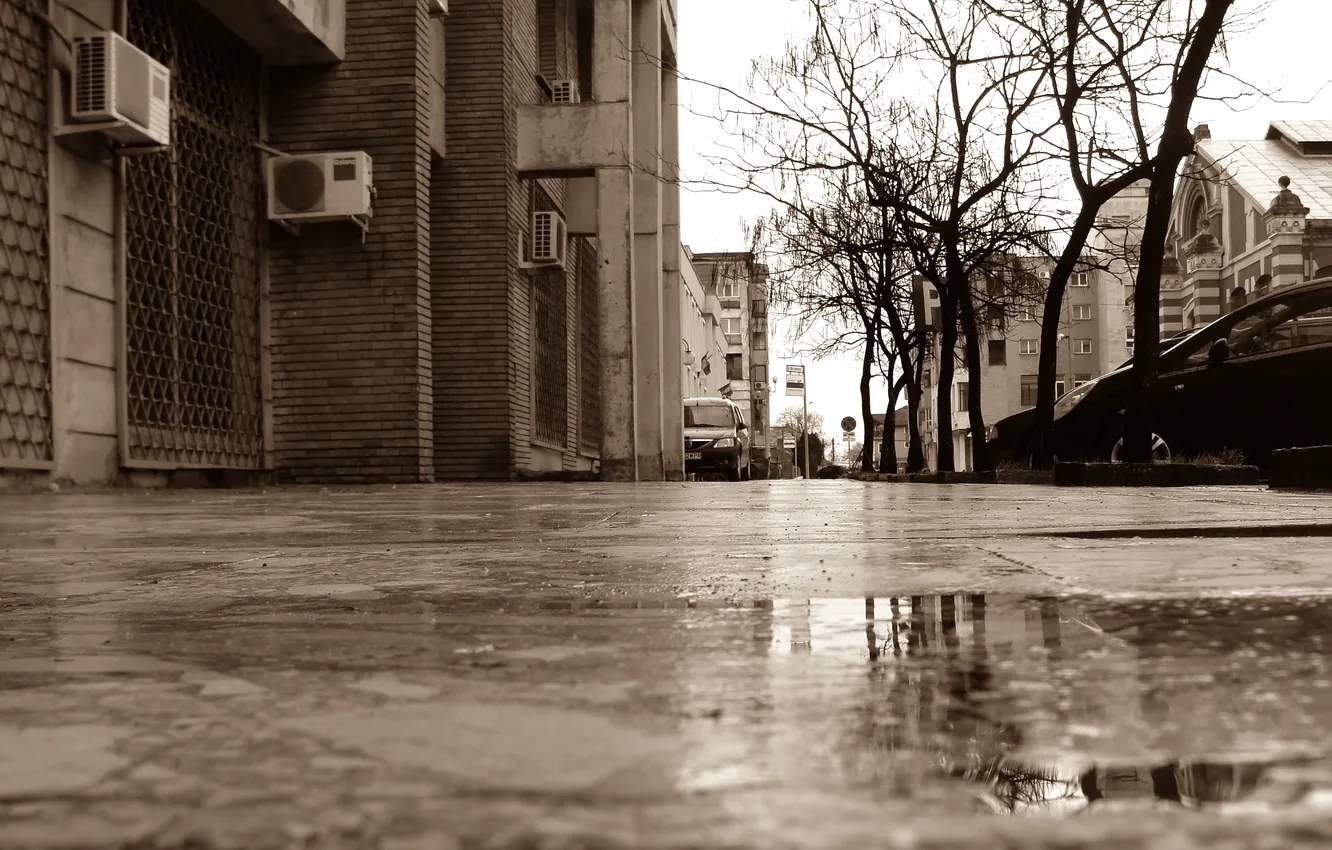 Фото обои город, улица, сепия, rainy day
