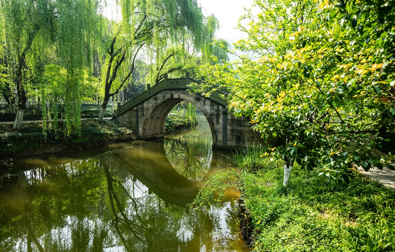 Фото обои зелень, трава, солнце, деревья, мост, пруд, парк, Китай