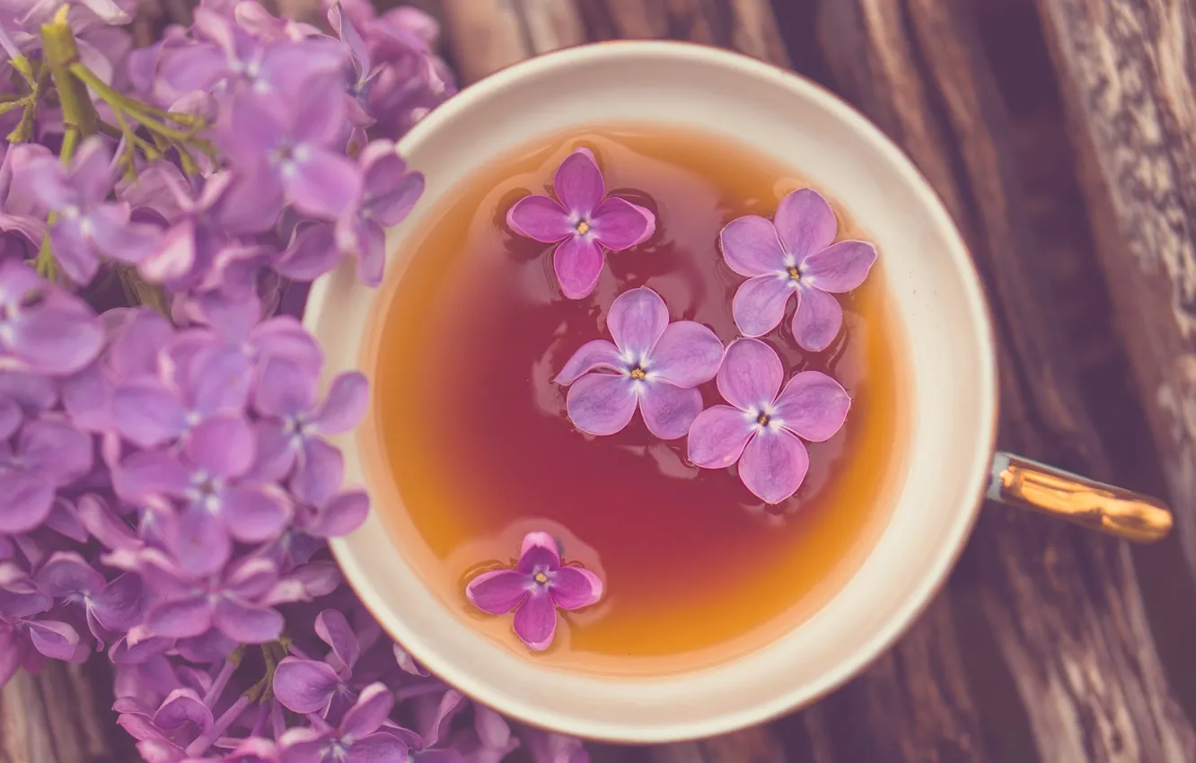 Фото обои фиолетовый, цветы, widescreen, обои, чай, настроения, кружка, чашка
