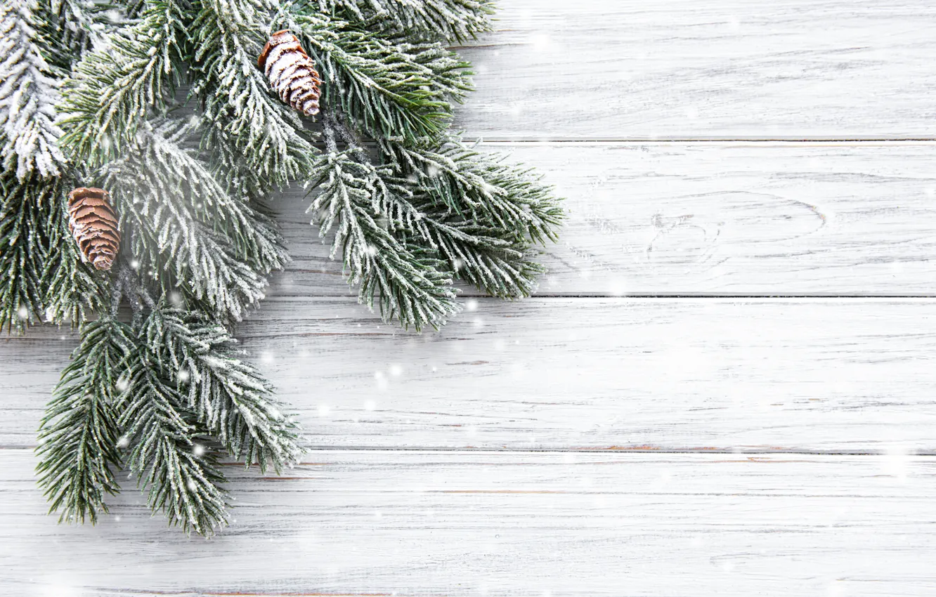 Фото обои снег, елка, Новый Год, Рождество, Christmas, шишки, wood, winter